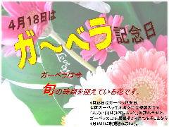 ガーベラ記念日
