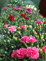 母の日、間近！