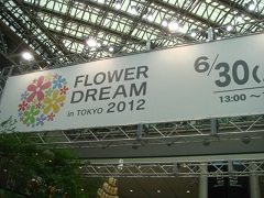 Flower Dream 2012
