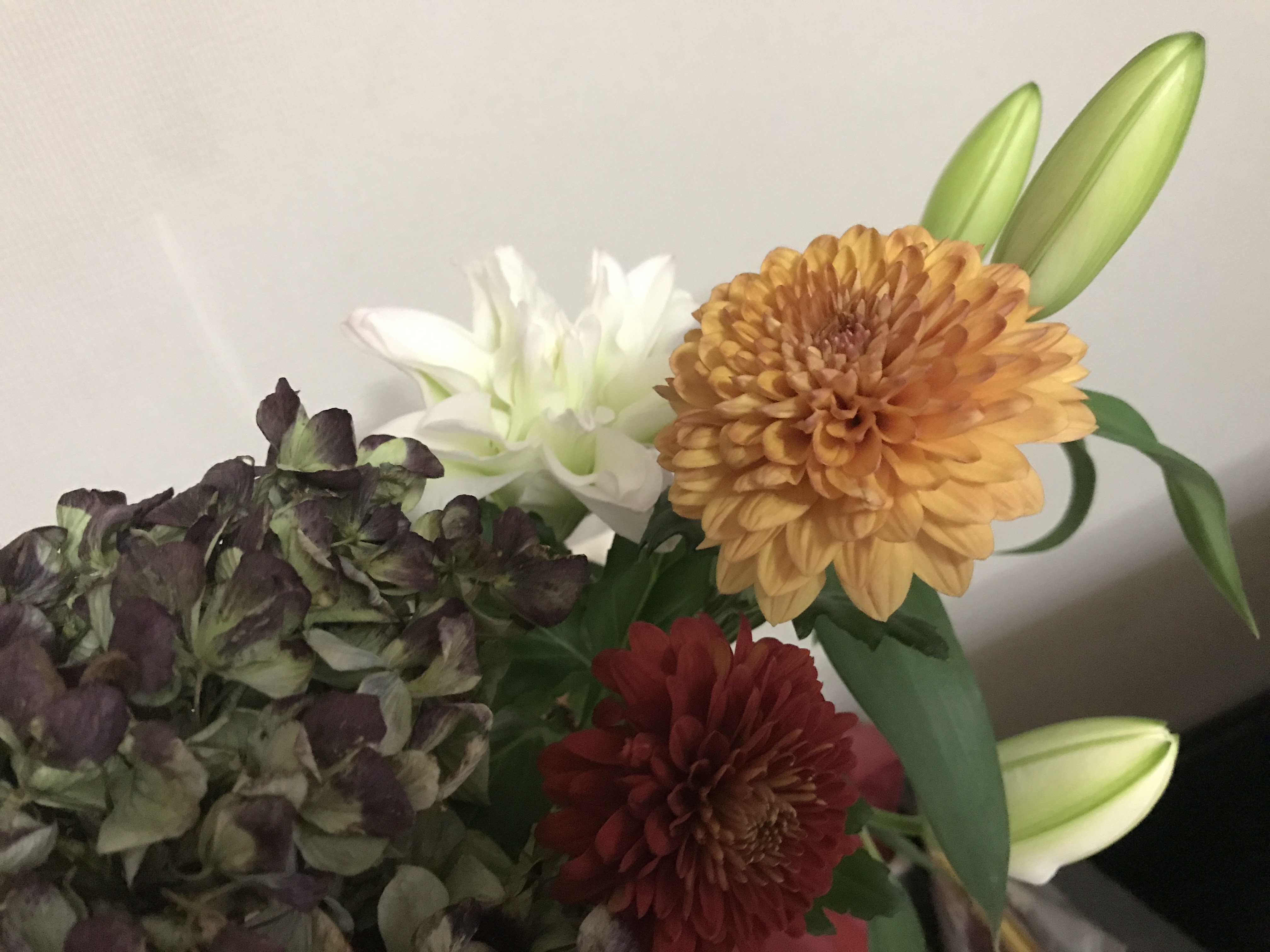 11月06日 今日は何の日 いいマムの日 です 花と緑のコンシェルジュ