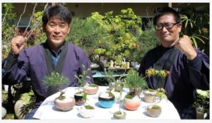 花と緑のクラファンサイトに広島の盆栽プロジェクトも！！